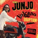 Reggae Anthology: Henry "Junjo" Lawes - Volcano Eruption by Various Artists